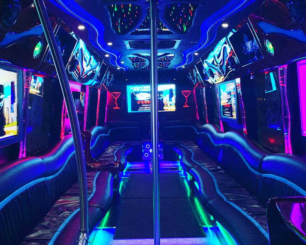 40 passenger limo bus stretch limo Grayslake il